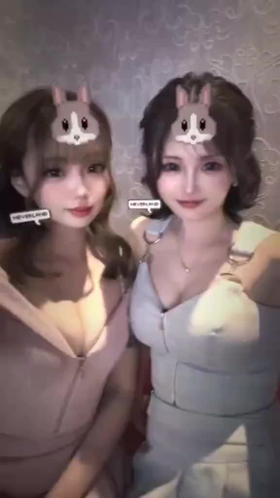 動画を再生