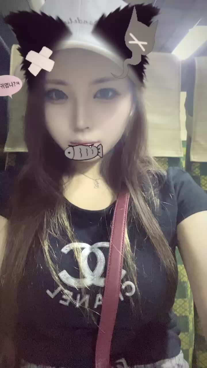 動画を再生