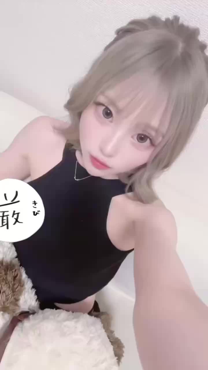 動画を再生