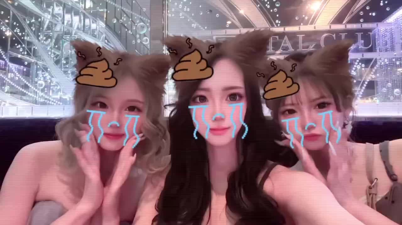 動画を再生