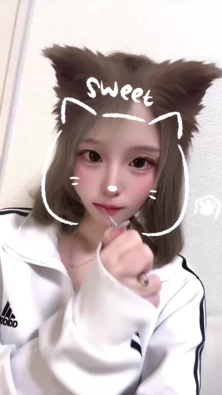 動画を再生