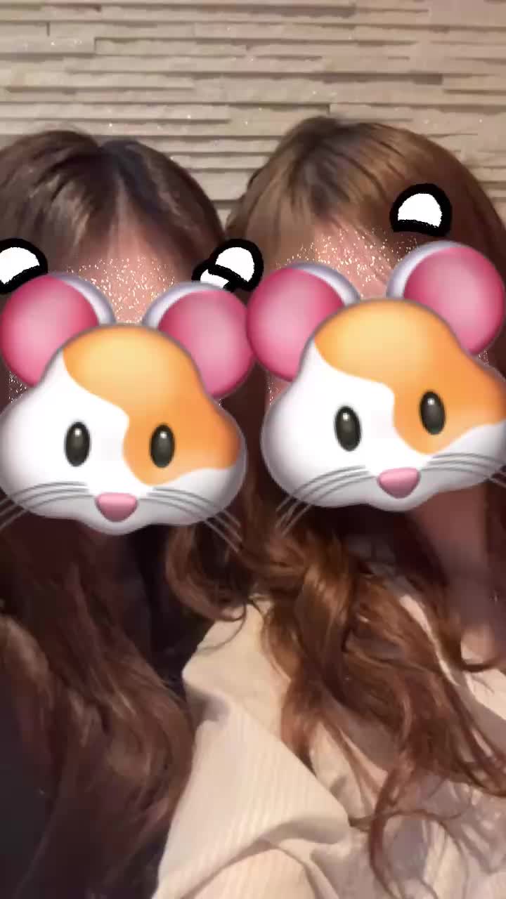 動画を再生