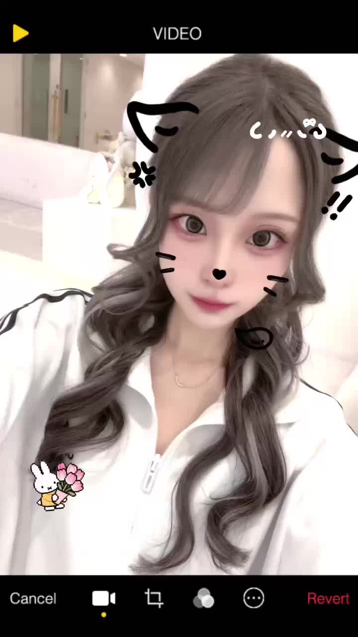 動画を再生