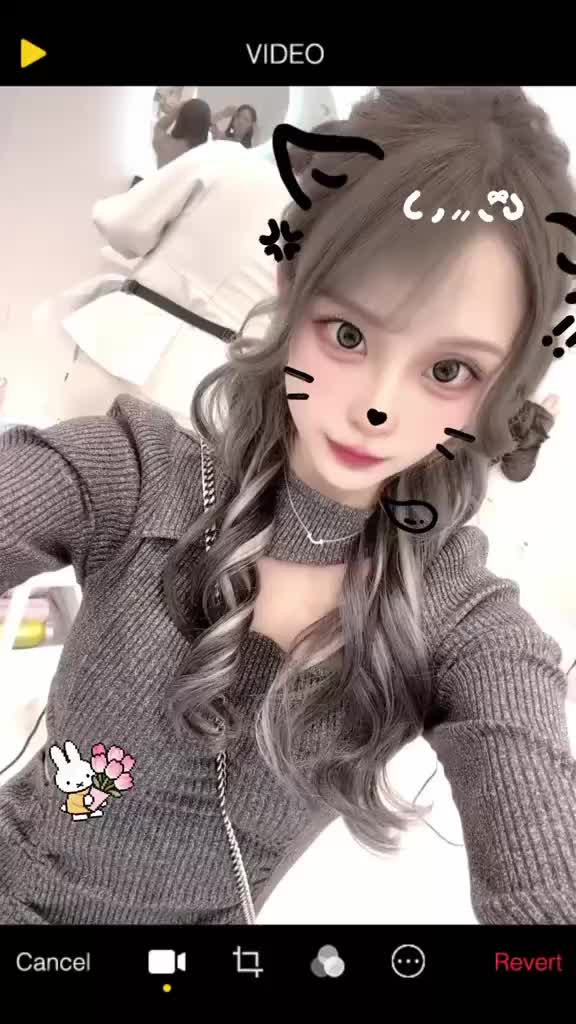 動画を再生