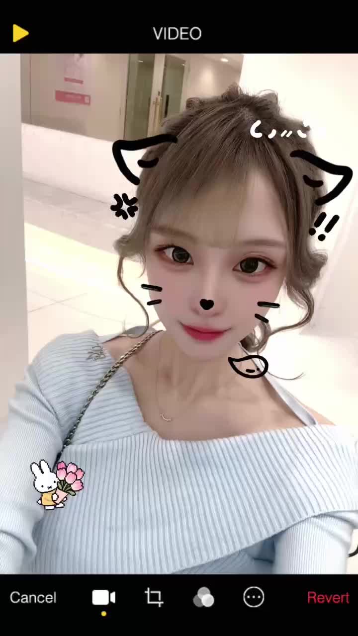 動画を再生